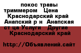 покос травы триммером › Цена ­ 150 - Краснодарский край, Анапский р-н, Анапская ст-ца Услуги » Другие   . Краснодарский край